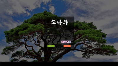 소나무 먹튀